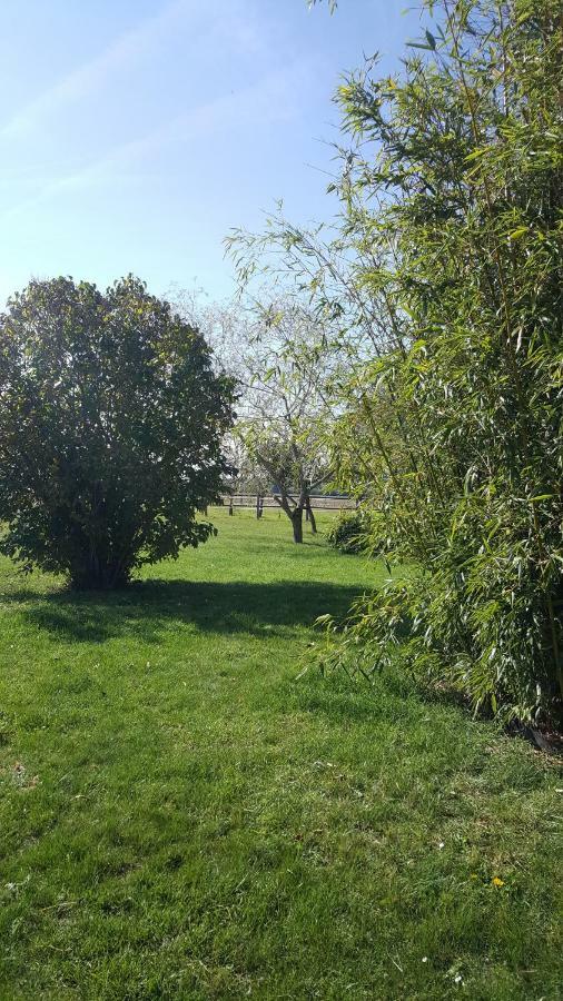 Gite Le Campagnard Saint-Germain-Des-Bois  エクステリア 写真